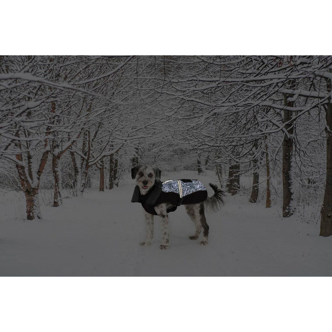 V4H044AB8468EDD123EC9DA778950FAA79DR5332392P2