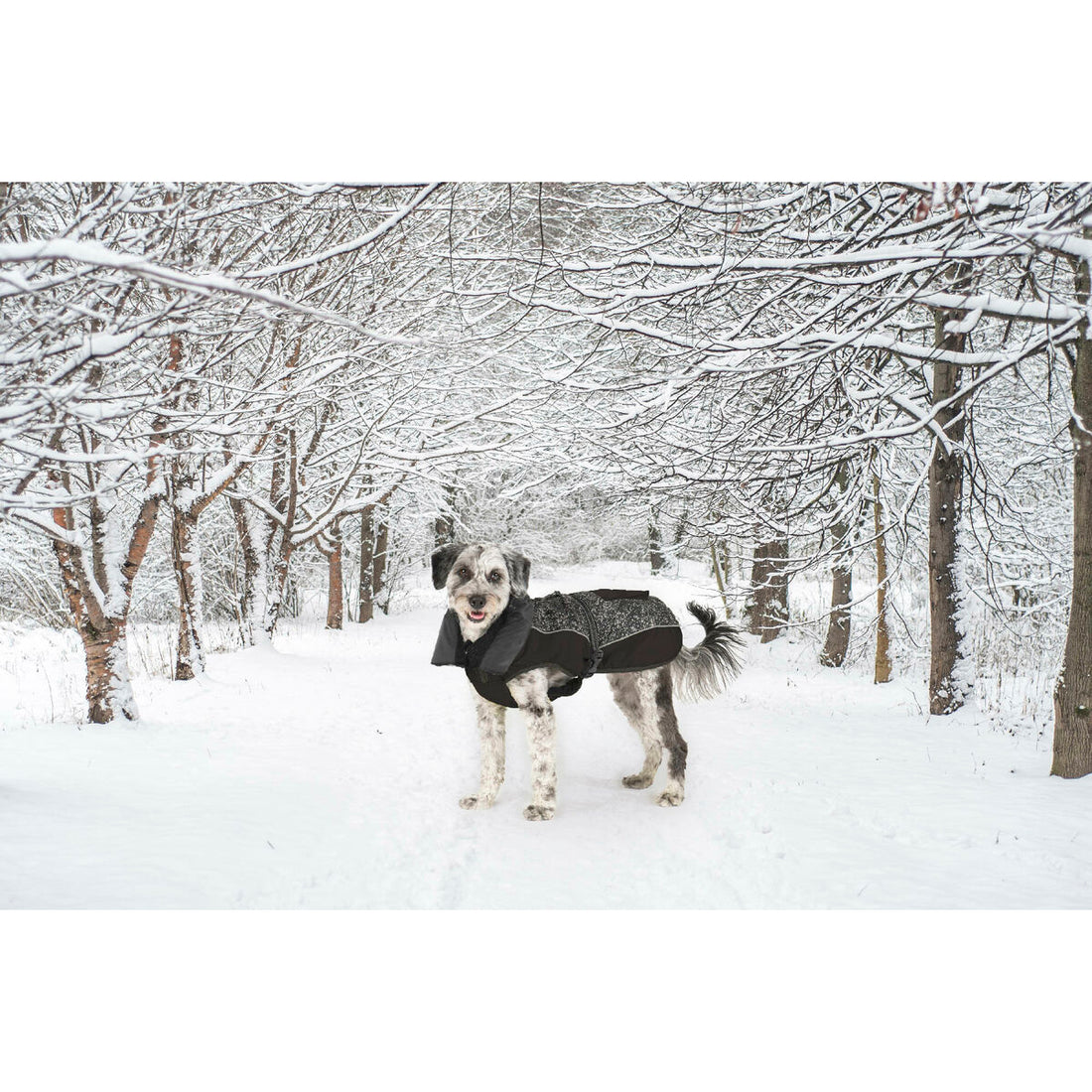 V4HED40D26DFC5BC0B9156C1A91B1EFBF27R5332490P8