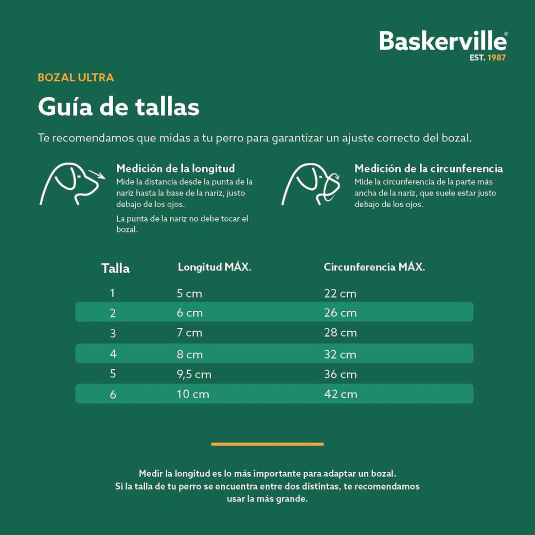 V4HCD970E5ACD00B071D041D03D70F470CDR5327552P5