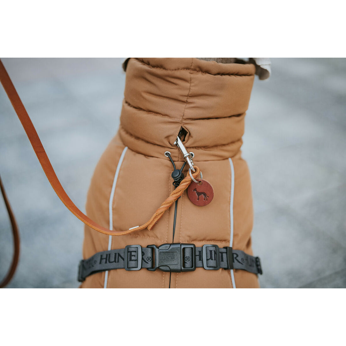 V3HF98BE30152E951D67D4559BFCF9F644DR5575923P6