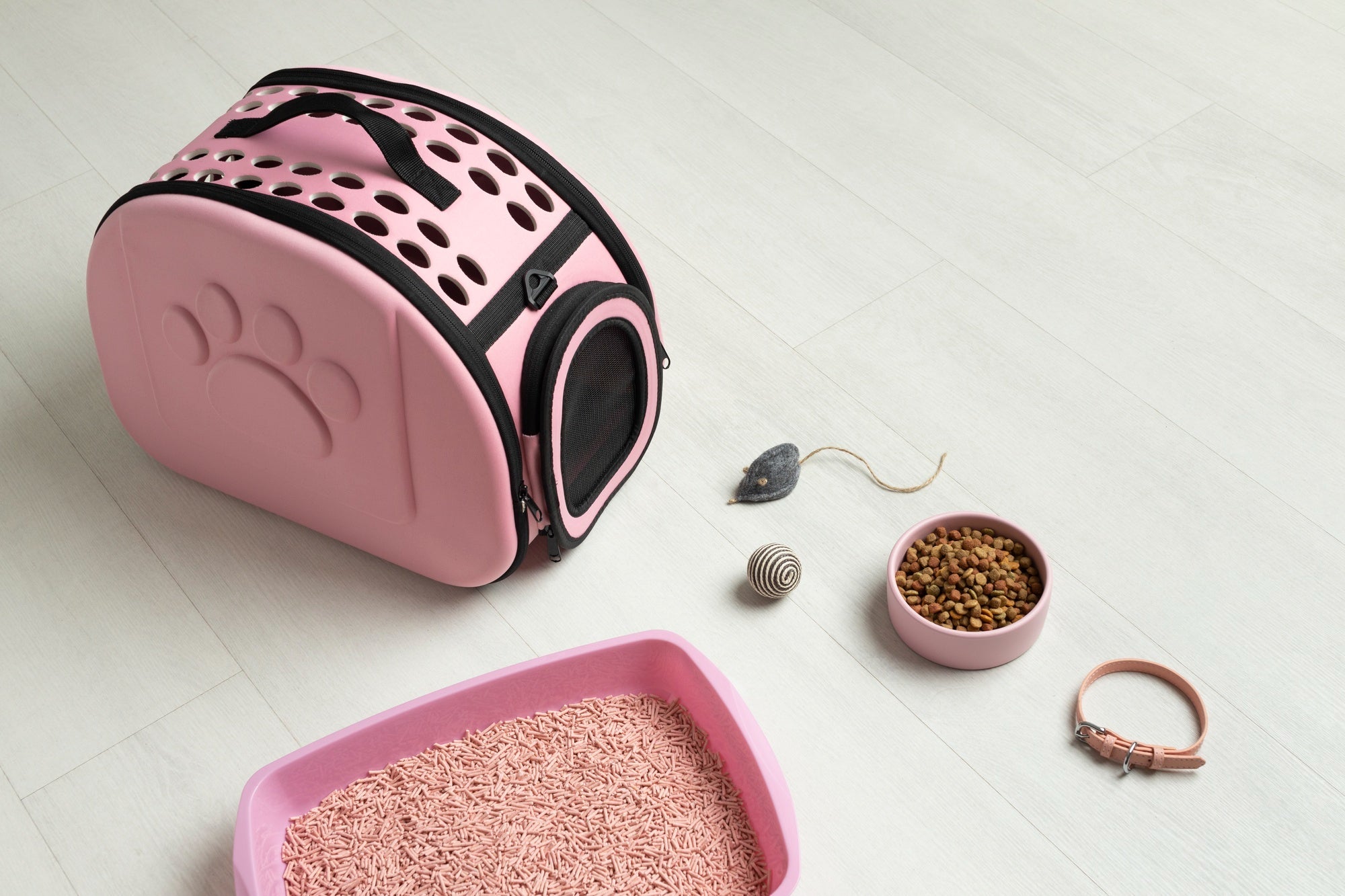 So wählst du das richtige Katzenspielzeug für deine Samtpfote