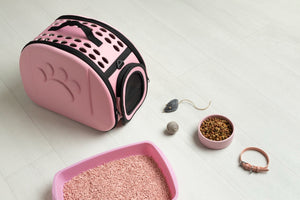 So wählst du das richtige Katzenspielzeug für deine Samtpfote