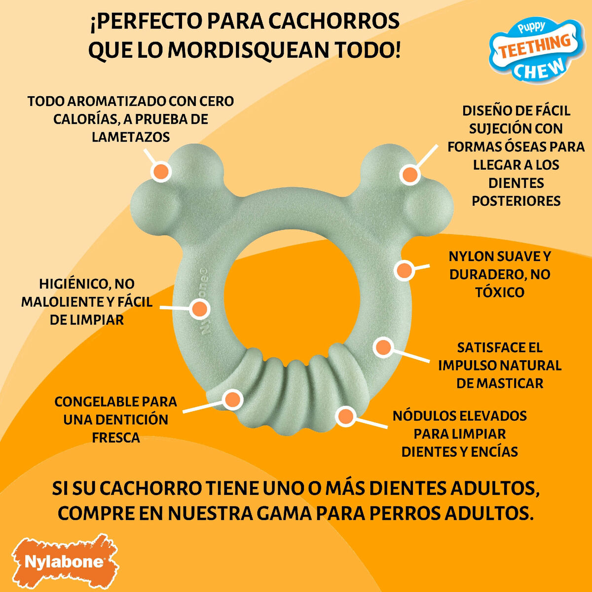 V4H510A54B15A25B9AA54E70FA8EDBB287BR5574726P6