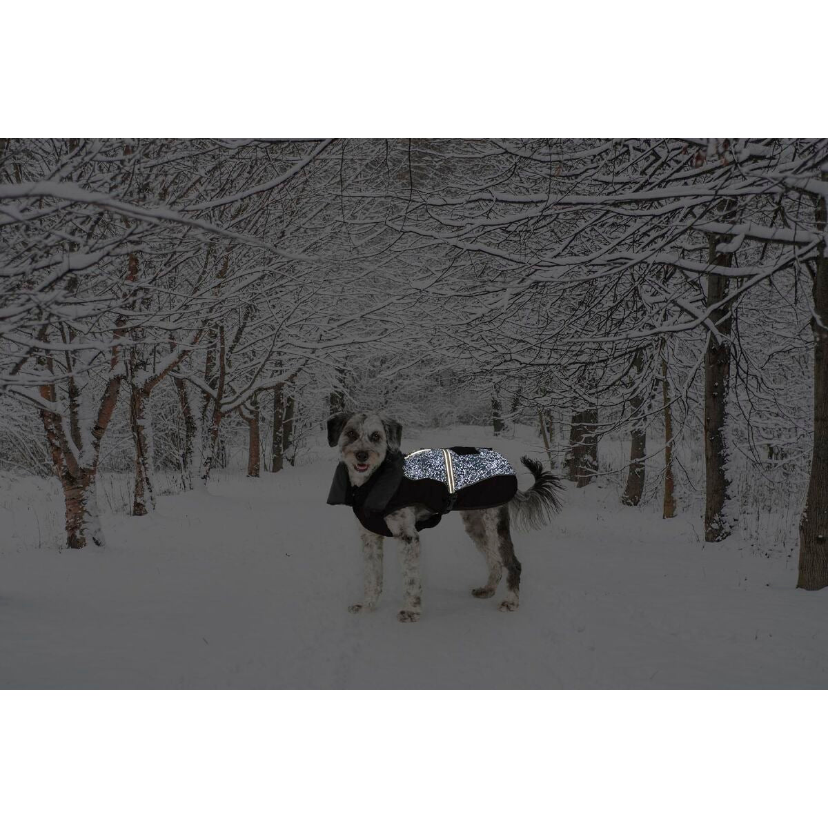 V6H044AB8468EDD123EC9DA778950FAA79DR5332392P2