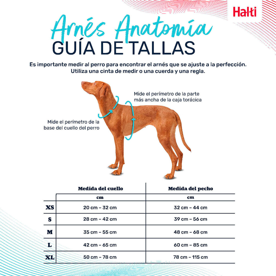 V6HFA935F3A4284E19C3507BBDD231E9386R5328451P3