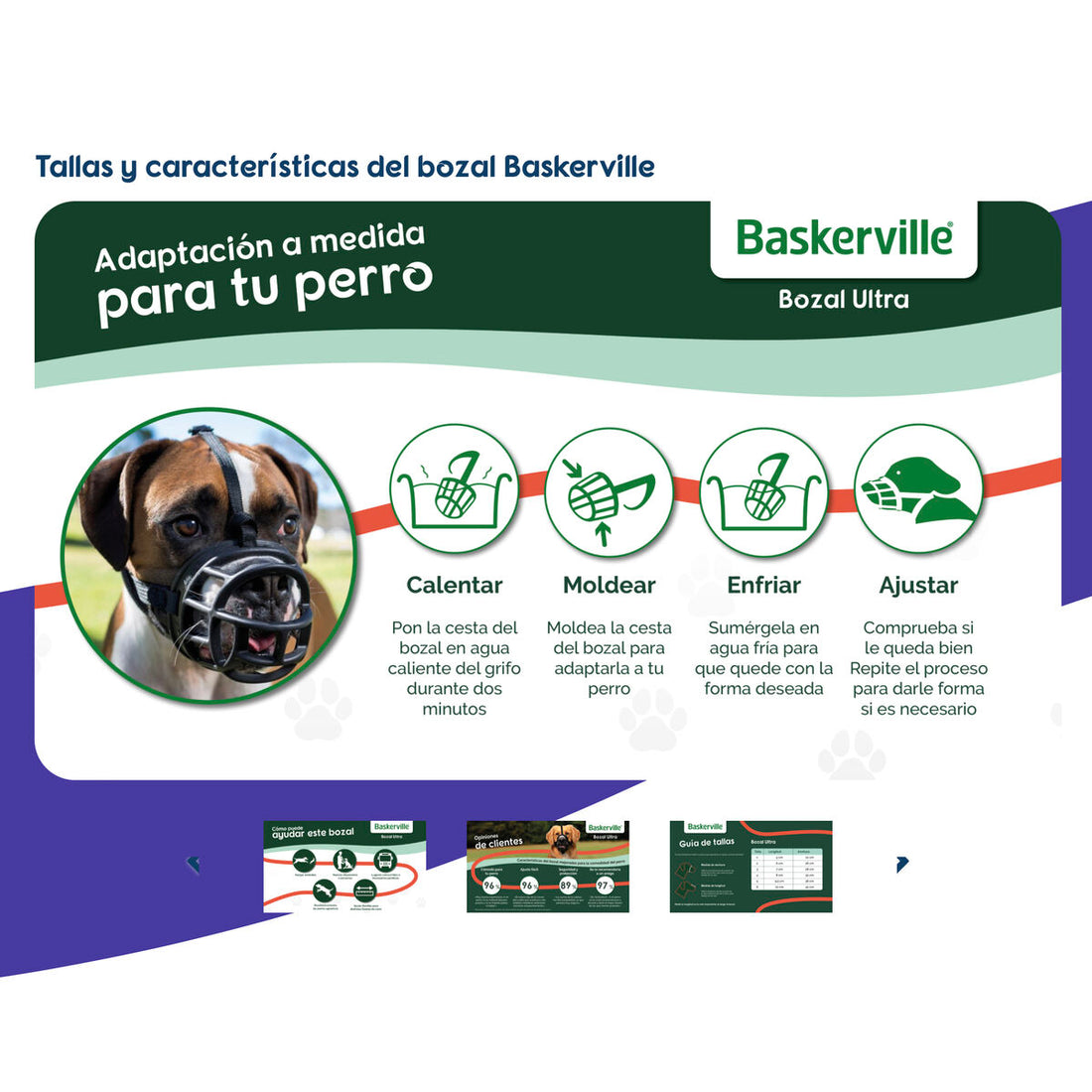 V6H703F88C7B6550932CF840D583A33427CR5327504P4