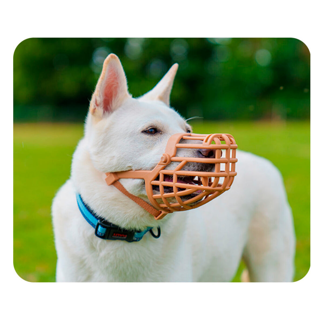 V6H34C1E1998958373A2181D283D4EE3CF3R5327586P3