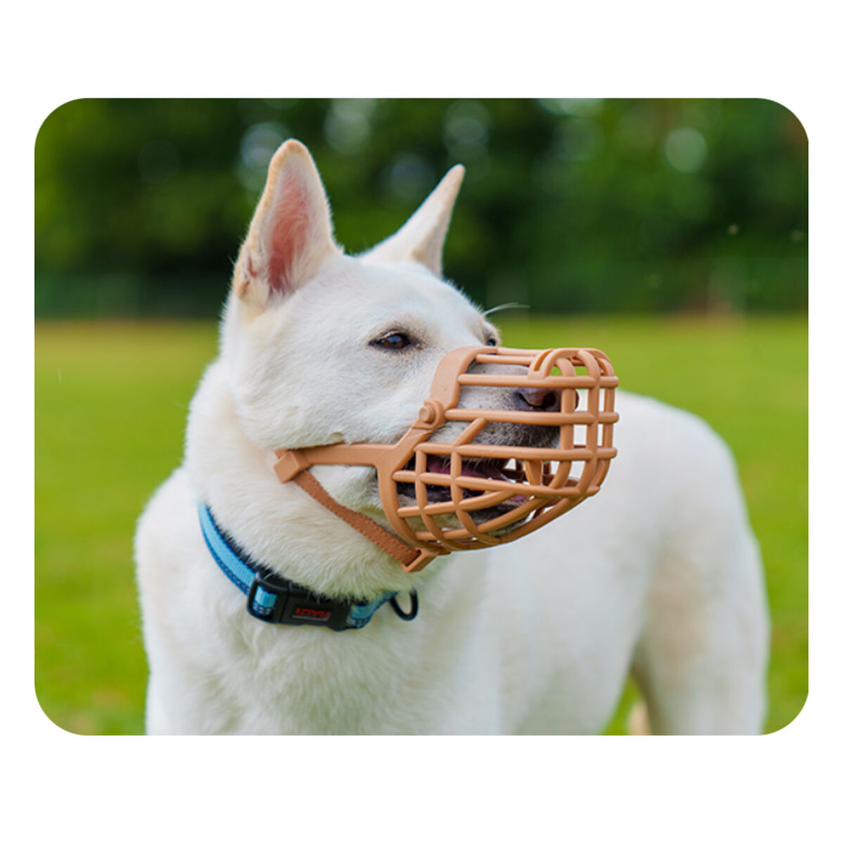 V6H0B97ABD29CAF12FE33D6E22C50F59A2CR5327514P3