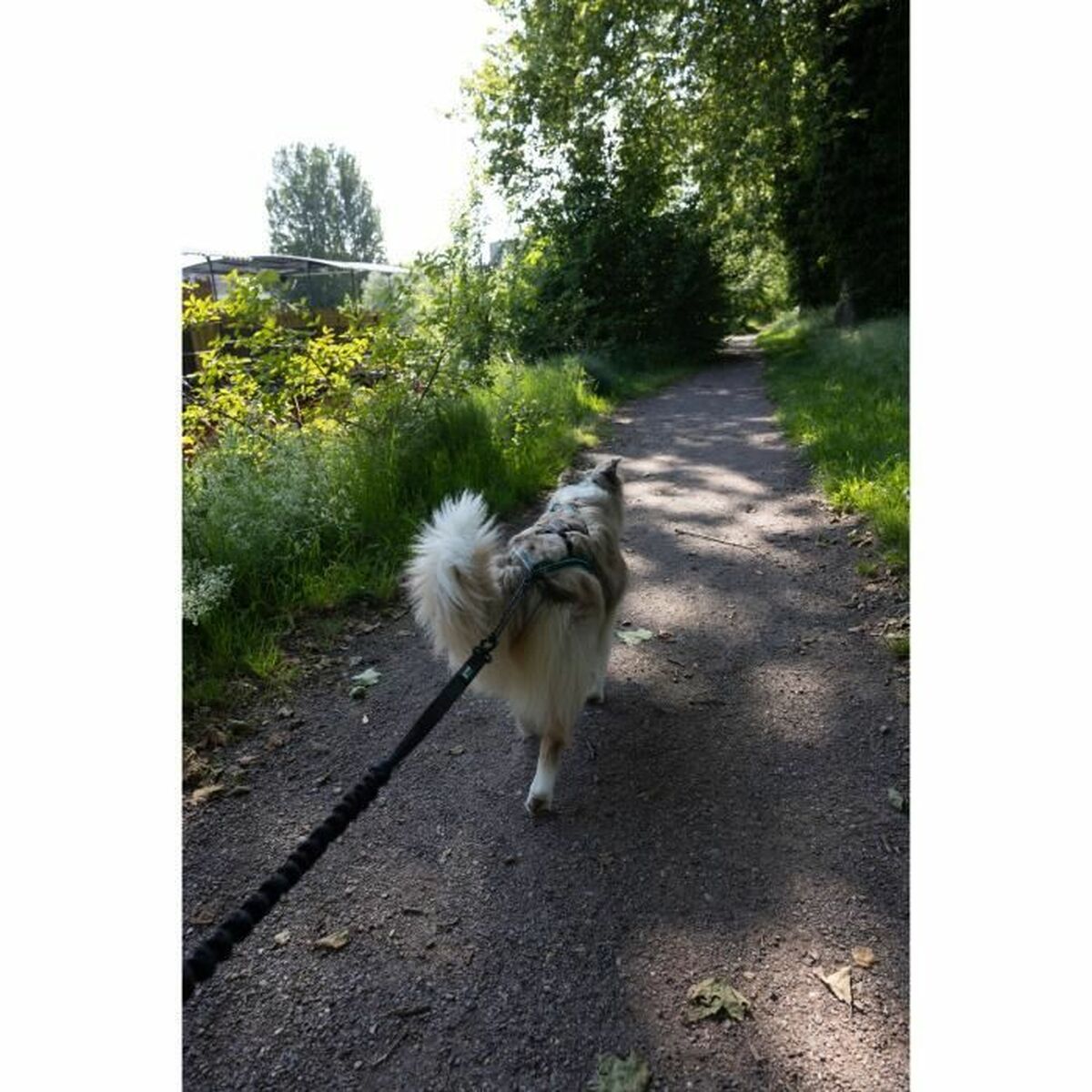 V5HF5D308BA6845217C1810528378B901B2R5776751P4