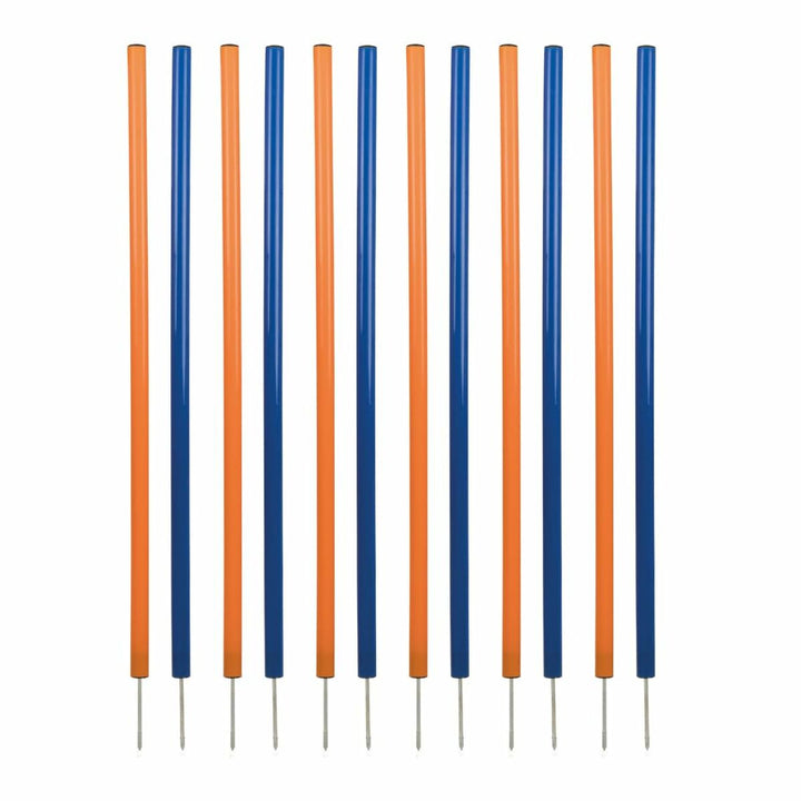 V3H0E1D33632766FA60CE1E5A698BCAF1E9R5763181P1