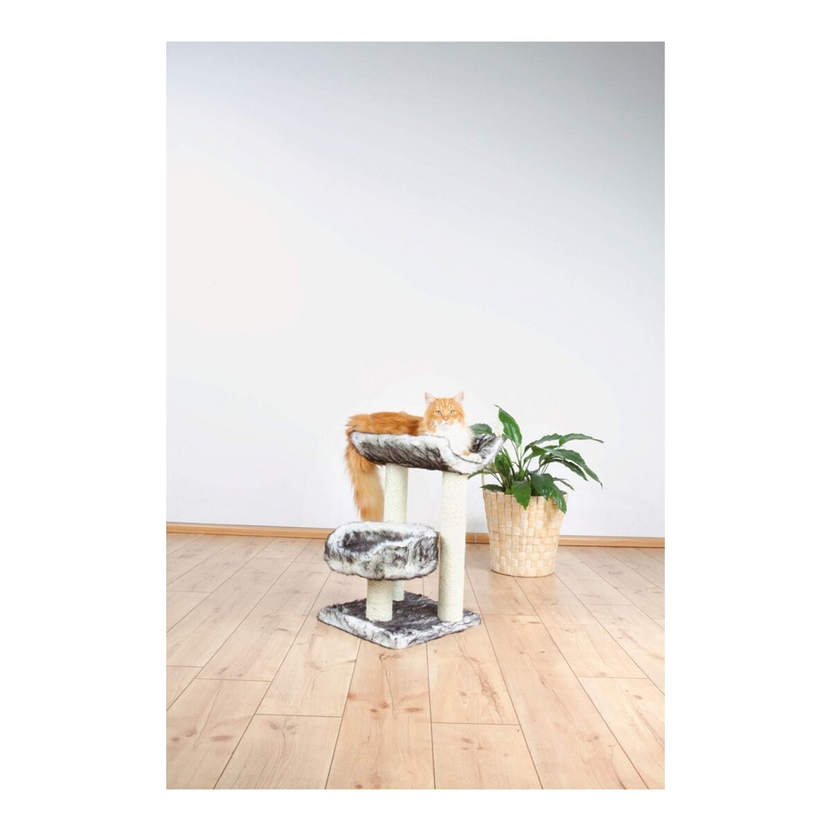 V9HEC678229C1406CED318E20A7E09902D7R6395948P5