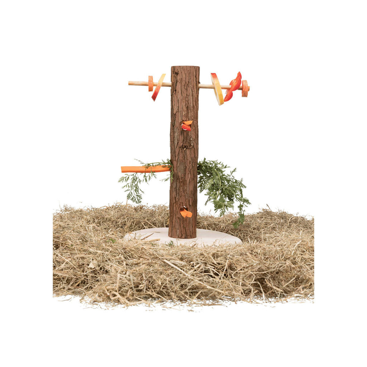 V6H14B7EEC9DB98C234DDBAB2A1B098654FR7444923P3