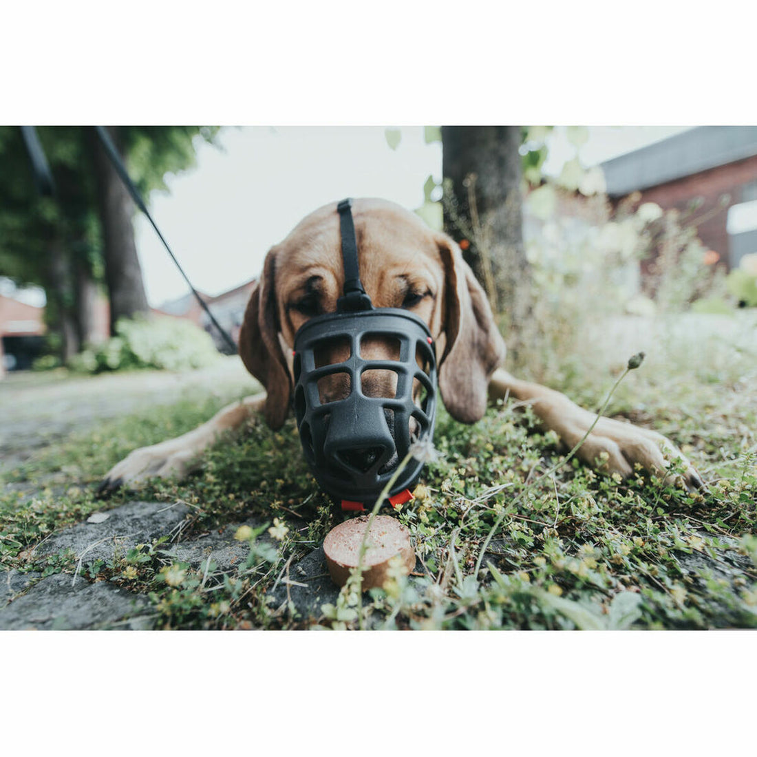 V8HD6ED2A24E27E91DE6A7551B111713AD1R4989128P2