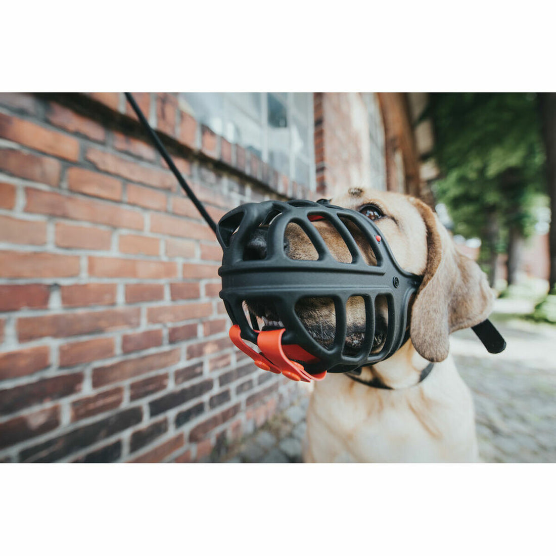 V5HE32CD96DC3A7B0846964B9F8FCB7CD24R7381500P3