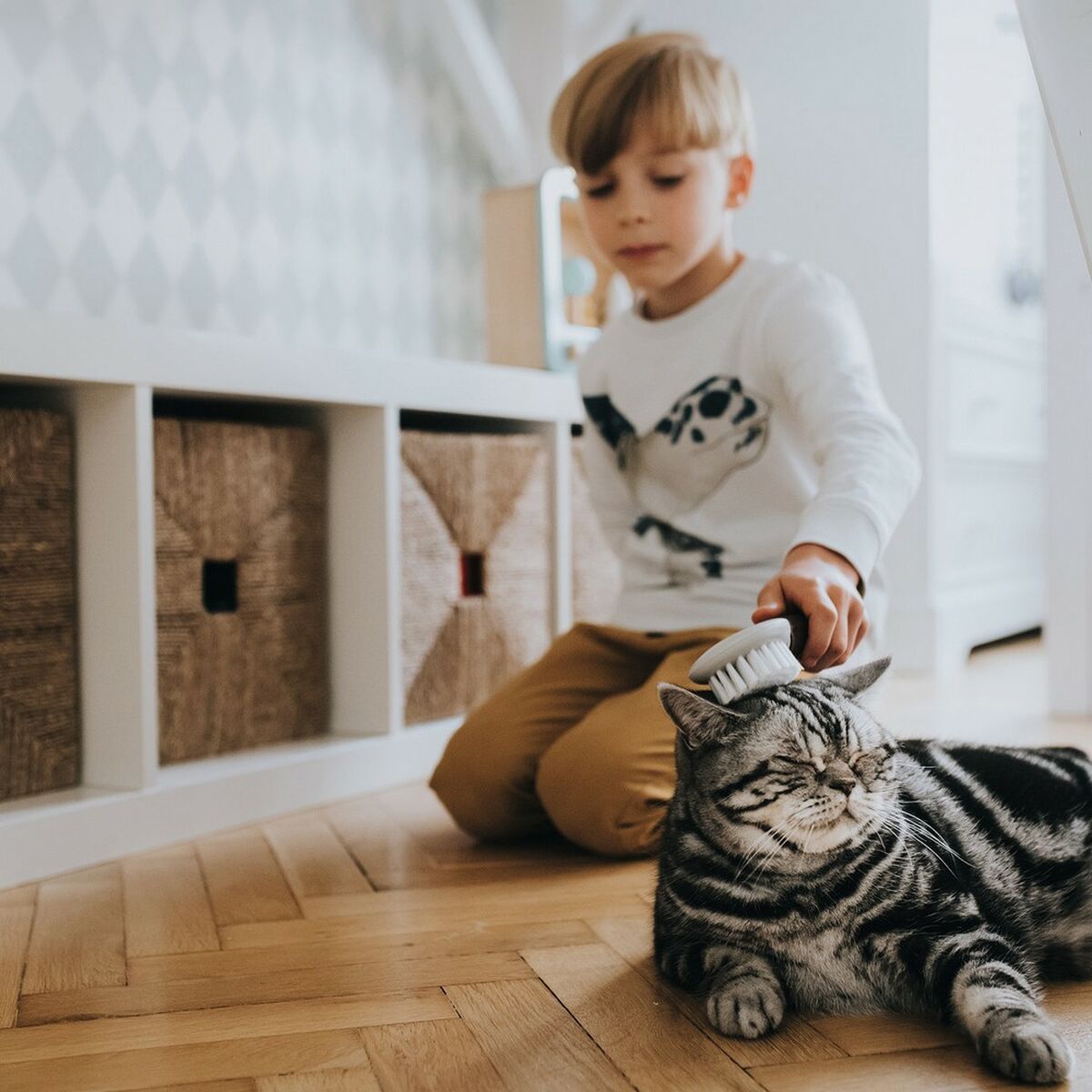 V11H5E351B2379125EC1C6BF8FDAE23666E3R4267966P4