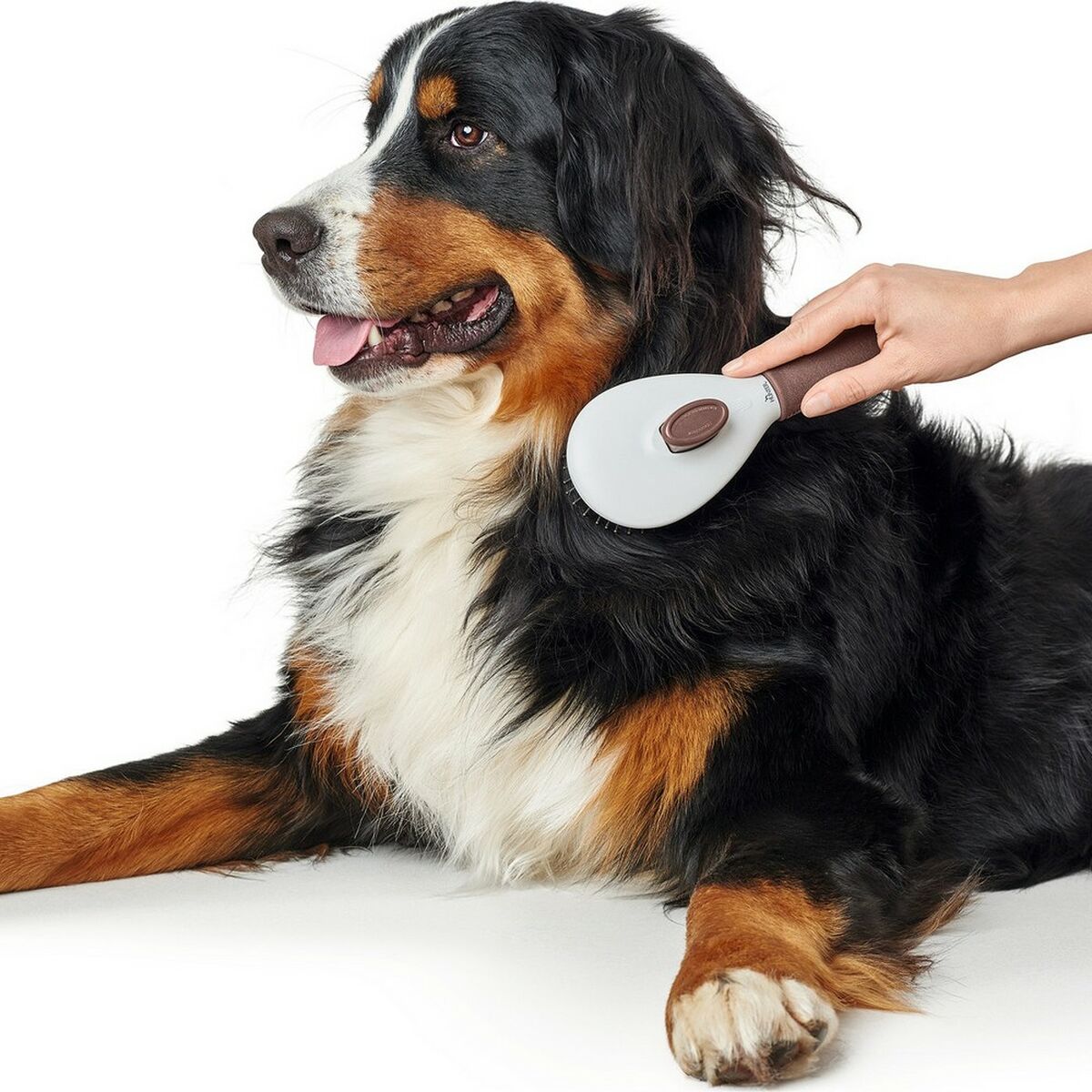 V10HDC1E4F4F9475A1652A878A81C7F37160R4014051P4