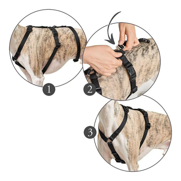 V8HBDCC0755410674496E3BB030B4AF1F2FR4989175P1