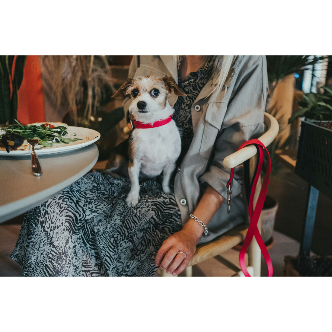 V6H2C55909309DBD7FA7F3383DAD4B5F7FFR3622791P4