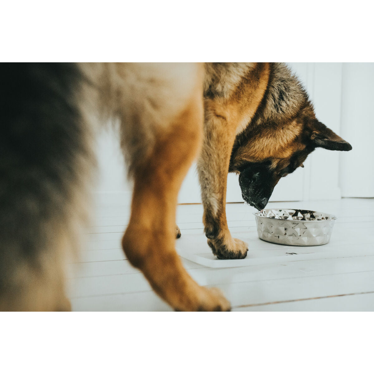 V6HF005C6F28731E7A99A0B23D7DC2A6CC8R4438159P5