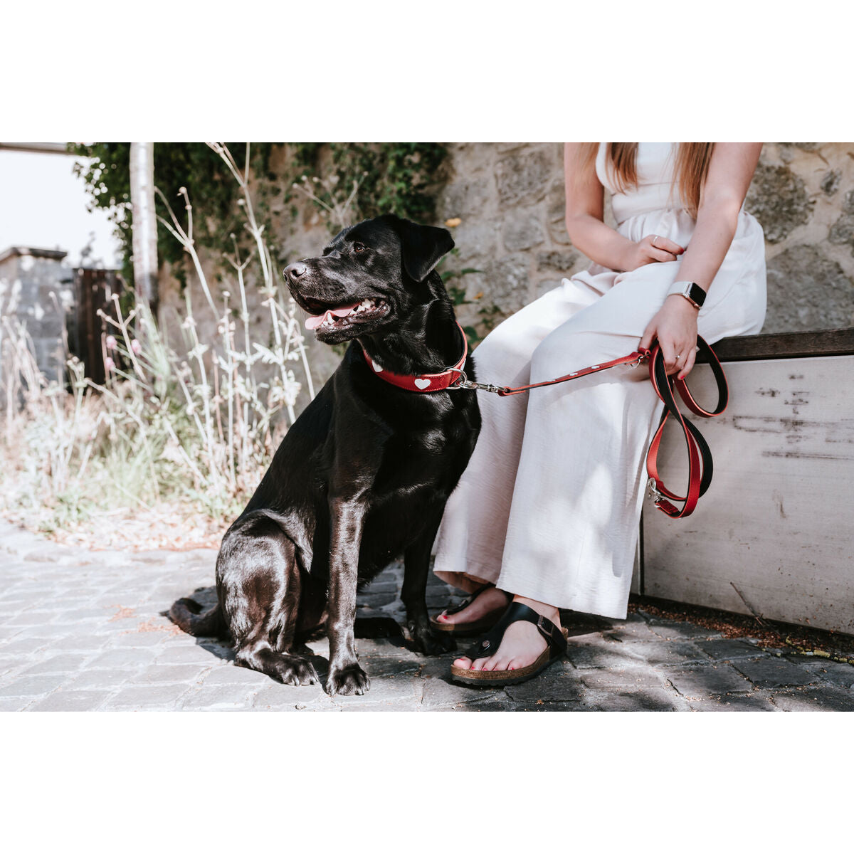 V4H0EAE62D8627A54364F14DBD59C6B5F2BR4393779P3