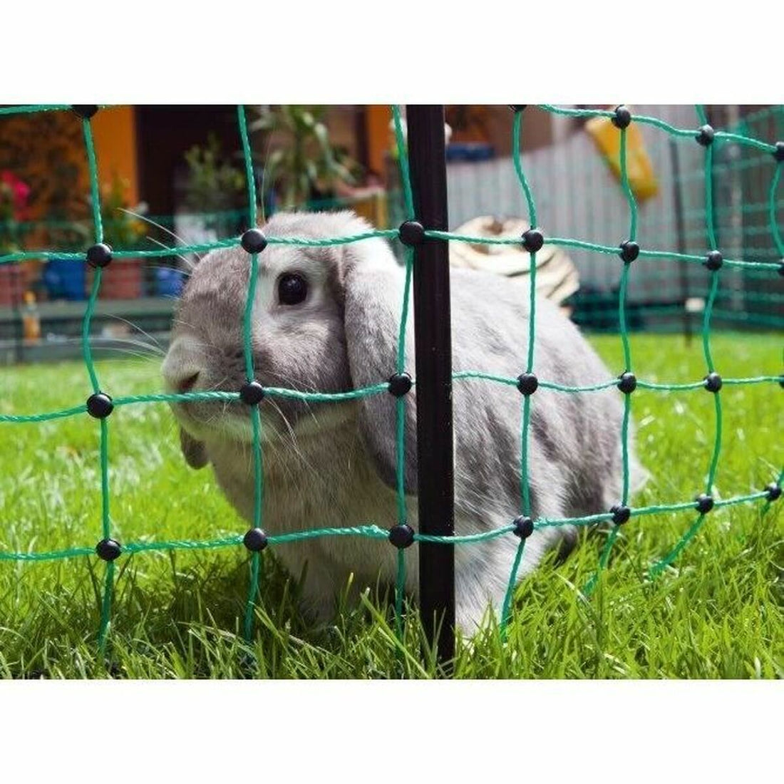 V5H68475CA731D8080C2EDF852B07068BB0R7413689P3