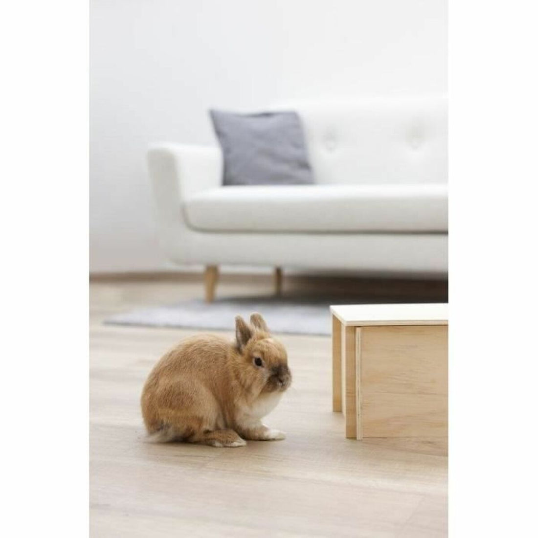 V10H3ECCC34F06ACD6701BA4DE8C4B8CB4AFR6637548P4