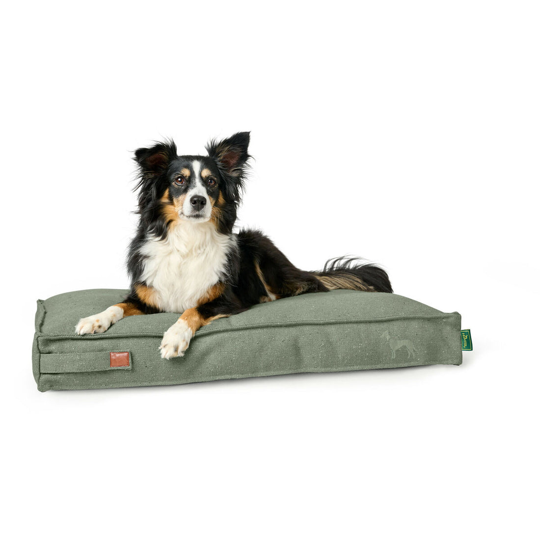 V4H2483AE99741374ABC41A5D787D075A69R5574642P4