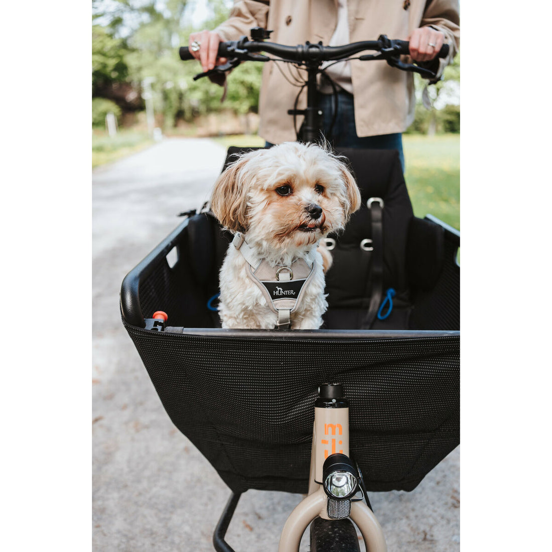 V5HBA0936CD55616C0FFEE96F7F1474EE61R5575653P7