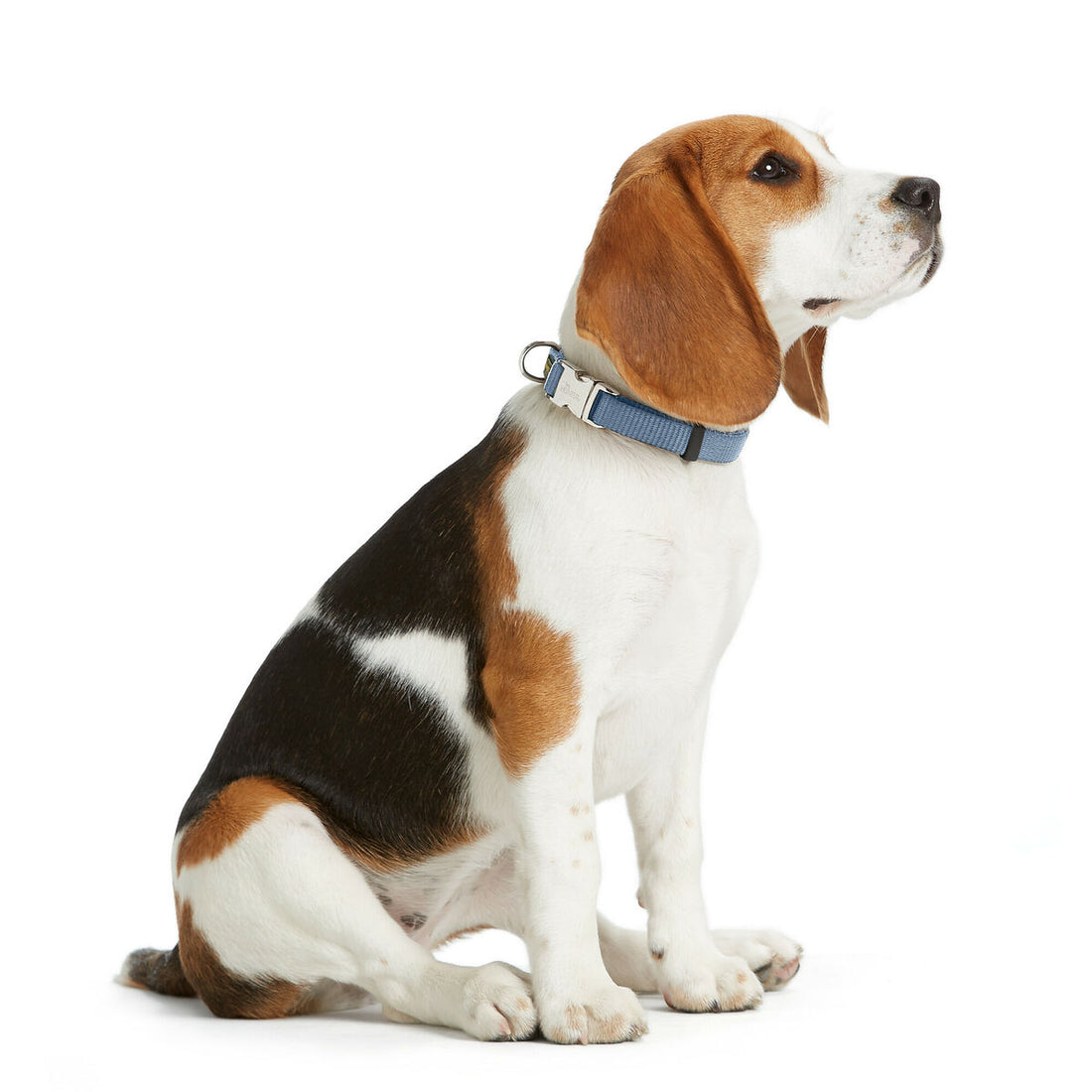 V3HA5A70F827744B2F58FCF1522FEDBF232R5582610P2