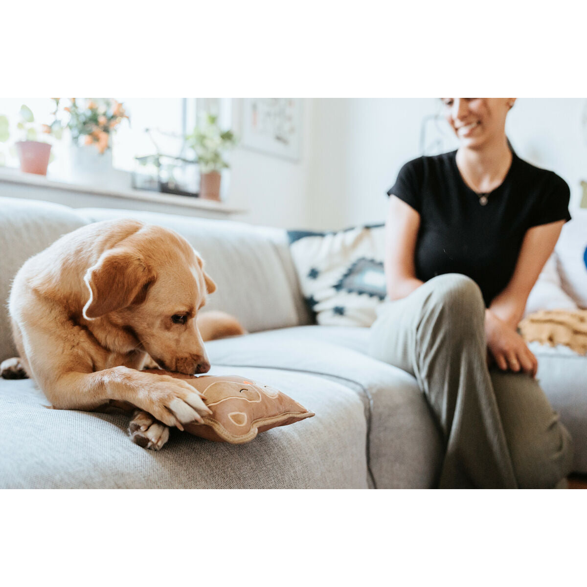 V3HAC6813EFED4E241A4E13860519BDD1CCR5574799P3