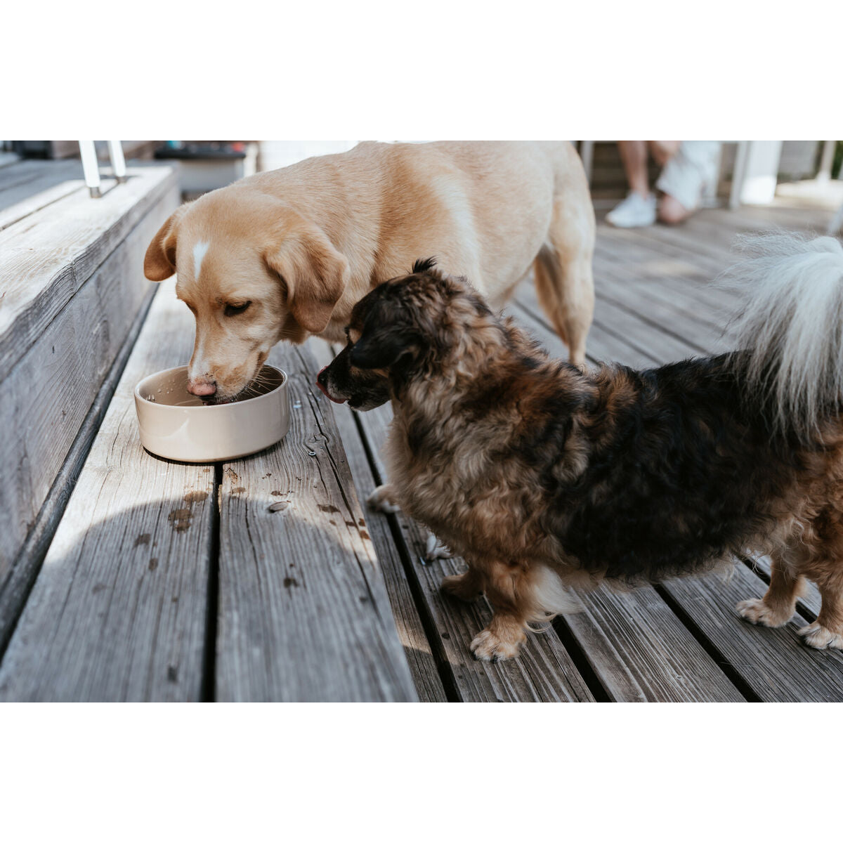 V5H2C3A3627120386C7EAE71238ADAD9D86R6455855P3