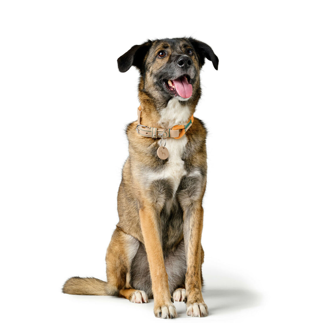 V5H3E76832AF8641BD50BA3667ACD7EAAC5R5575444P3