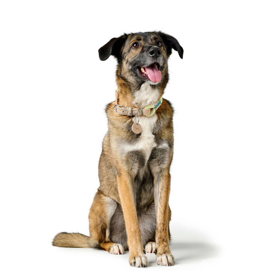 V3HB5D66971CADF5DB3A589C8F864CF8D69R5575506P5