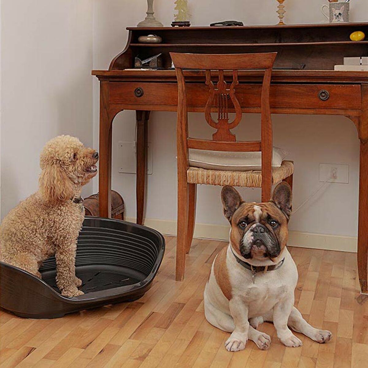 V7H7C7EEC30D3AED769DB1B29FB3EF1B71FR4558507P6