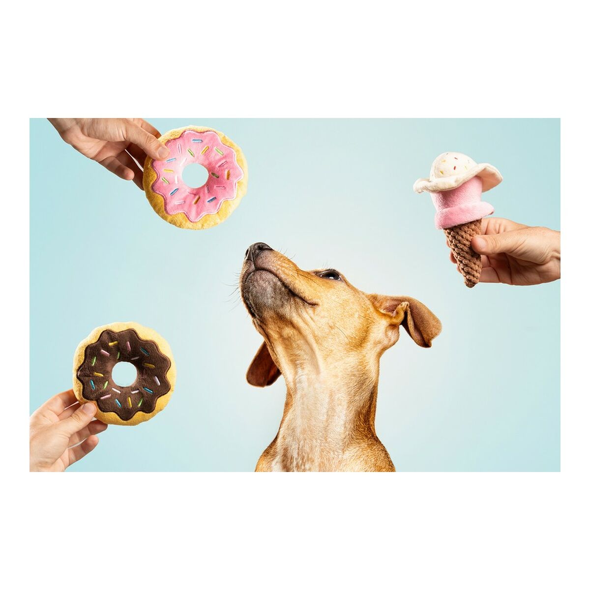 V10HB584A1025ACD3EE99FE7E659DE758007R5572663P2