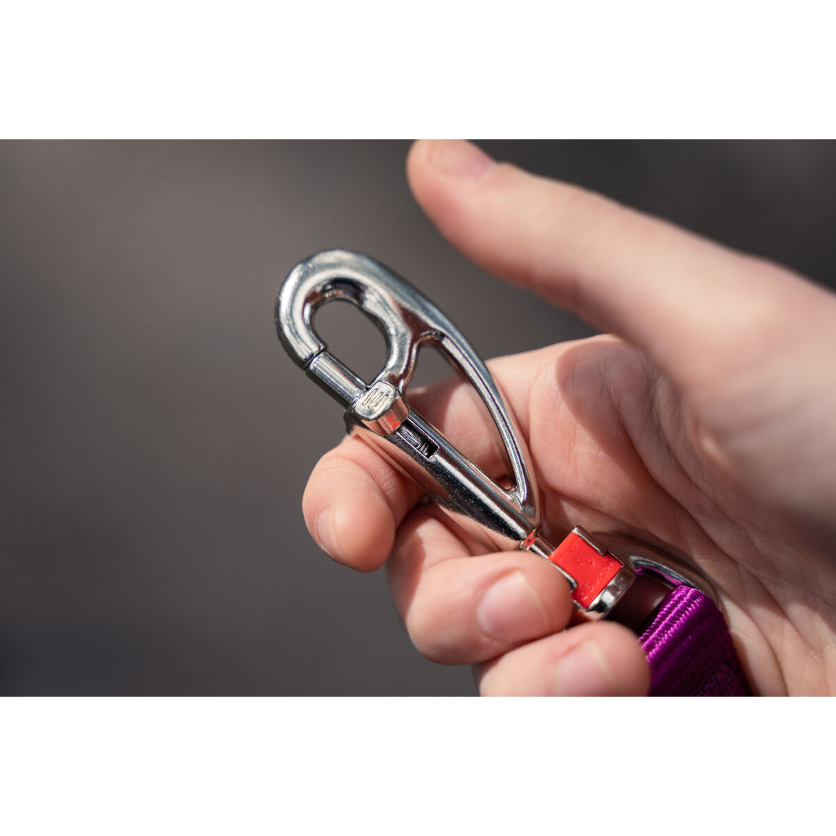 V6HA2FB0F0951E64DE6D62700FB025FE7C1R3627679P4