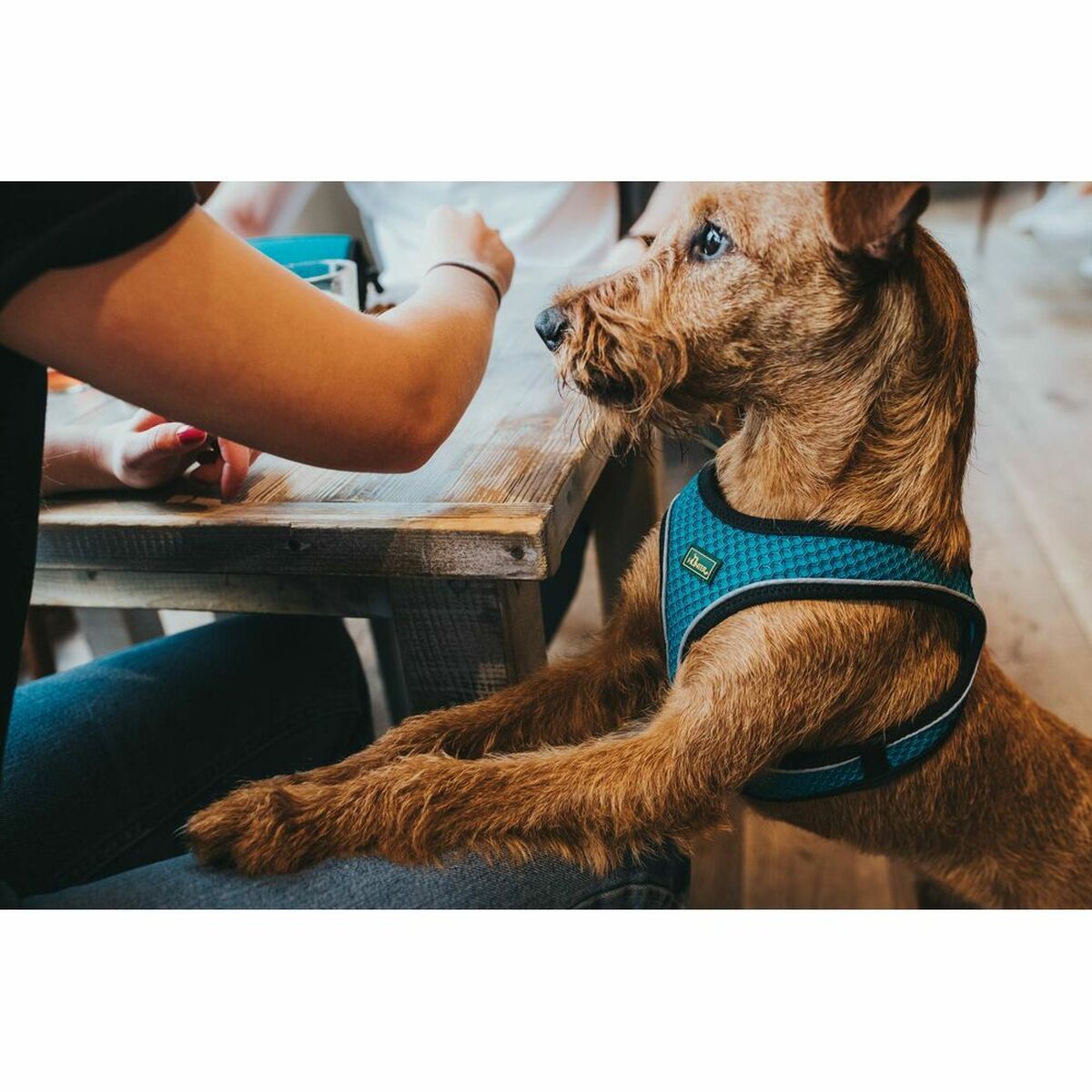 V9H0DDCB6D9BDE220D93B8AAB4AAD586175R3618788P2